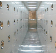 Air Showers